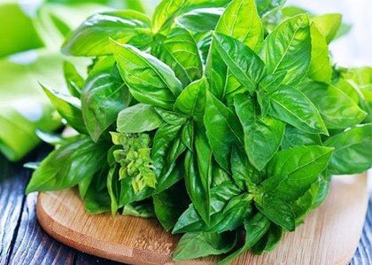 sayur buah 5